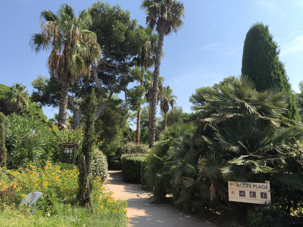 Sentier du parc arboré à côté de l'appartement à Giens