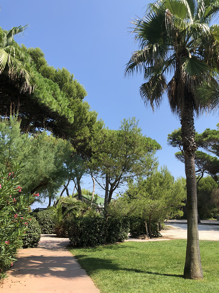 Parc arboré de la location de vacances