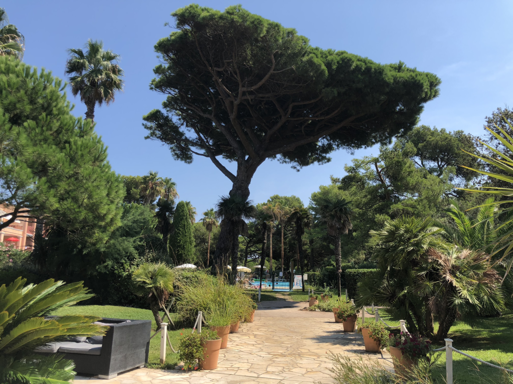 Parc arboré de la résidence La Pinède