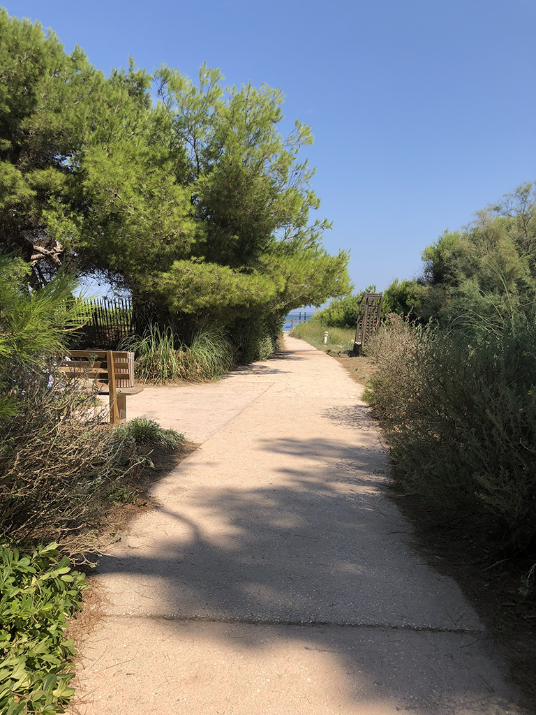 Sentier entre parc et plage à Giens